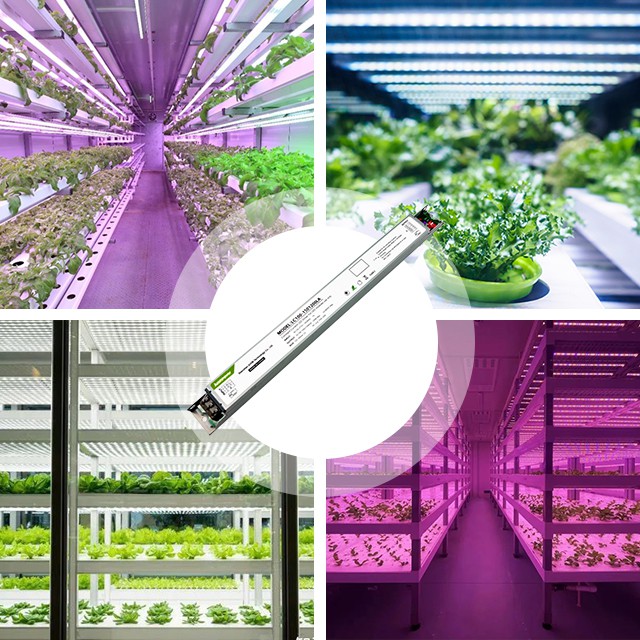 True No-Afterglow Non-Isolated Driver For Grow Lighting